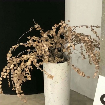 冀州FurryQQ群介绍